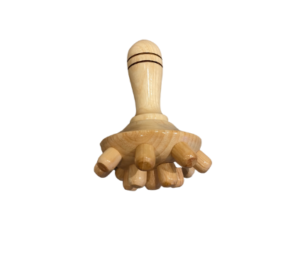 Le champignon Madérofit Debody Sculpt